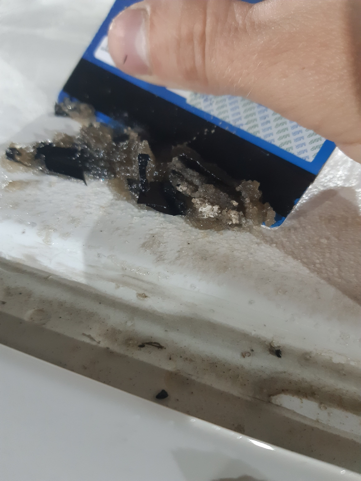 Снятие виниловой пленки с крыши. — Mazda 3 (2G) BL, 1,6 л, 2010 года ...