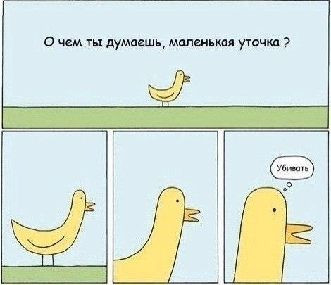 Утка мем. Утка мемы. Приколы про утку. Утка шутка. Уточка Мем.