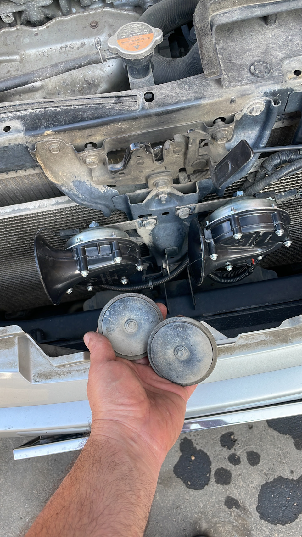 Замена звуковых сигналов — Nissan X-Trail II (t31), 2,5 л, 2012 года ...