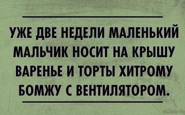 Уже две недели маленький мальчик носит на крышу варенье и торты