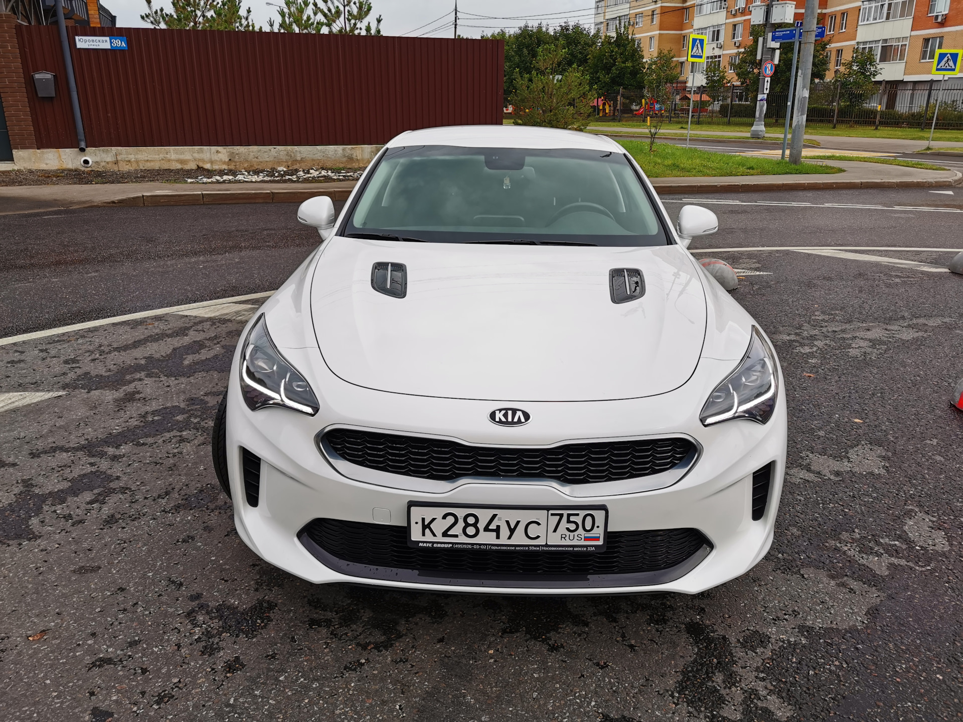 KIA Stinger 2019 2.0/247 LUXE — KIA Stinger, 2 л, 2019 года | продажа  машины | DRIVE2