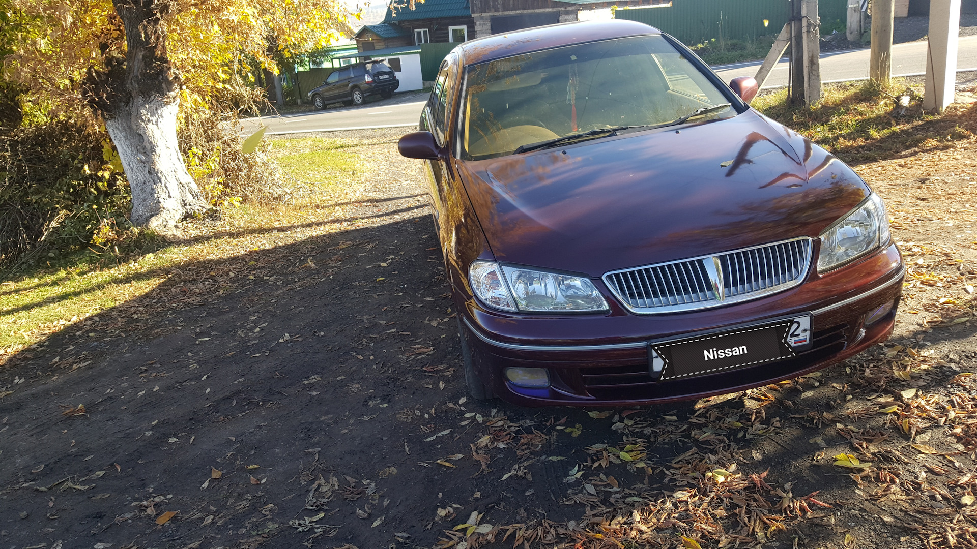 Стекло ниссан блюберд силфи. Nissan Bluebird Sylphy g10. Bluebird Sylphy 2001. Капот Ниссан Блюберд Силфи.