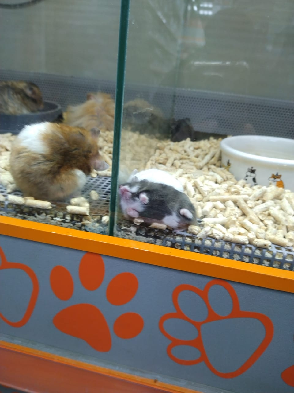 Колесо спускает, но только снизу… — Volkswagen Transporter T4, 2,4 л ...