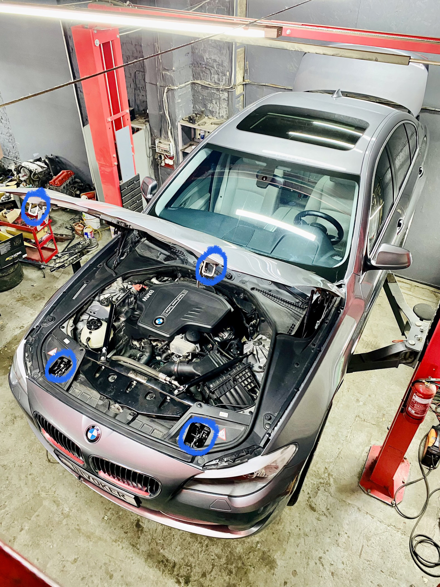 Смазка креплений капота — BMW 5 series (F10), 2 л, 2011 года | своими ...