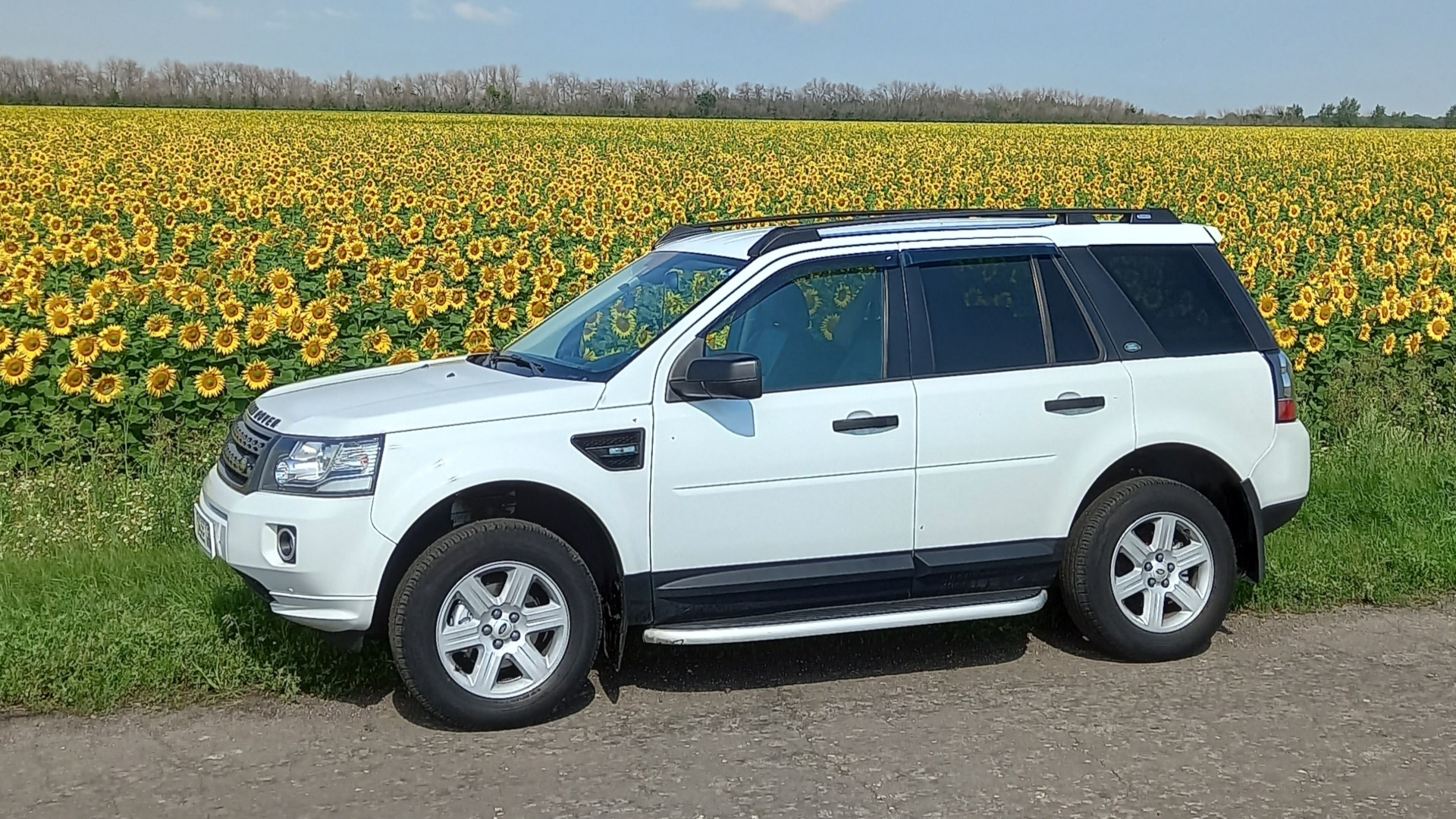 Land Rover Freelander 2 2.2 дизельный 2013 | 