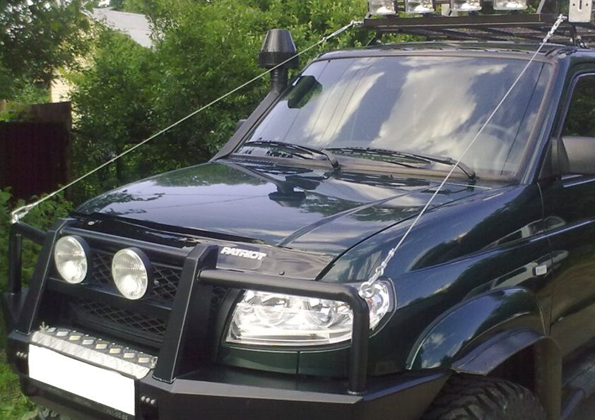 Прикольная сучка в наборе