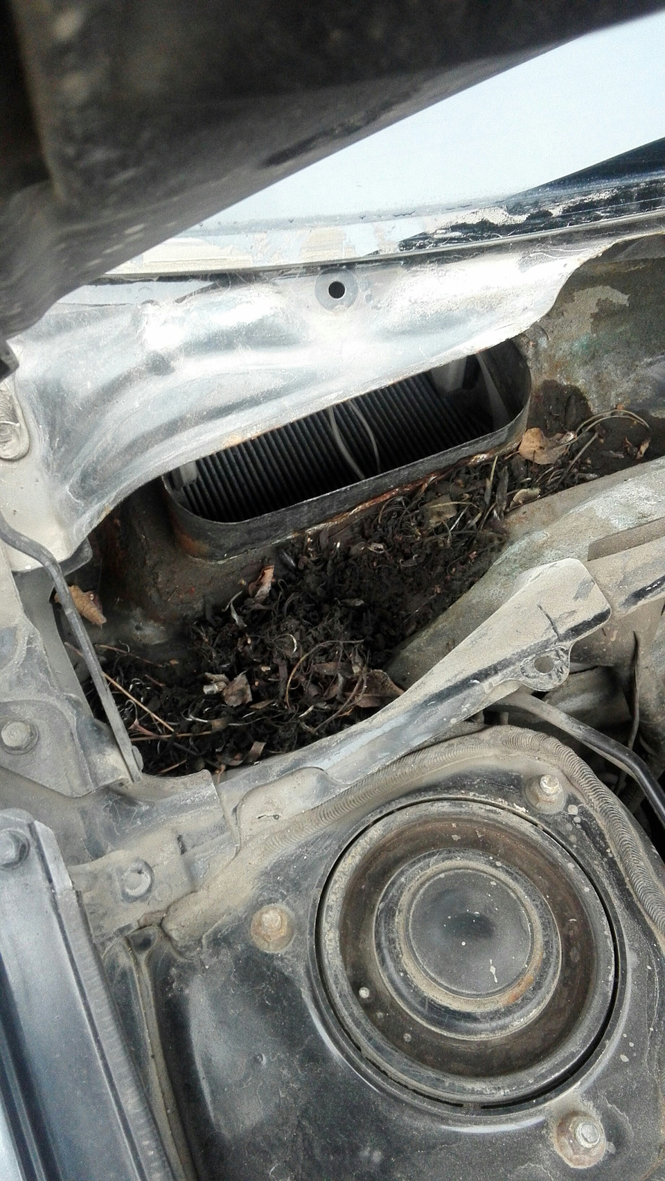 Ланос в Аутбек или ремонт дворников — Subaru Outback (BP), 2,5 л, 2008 ...