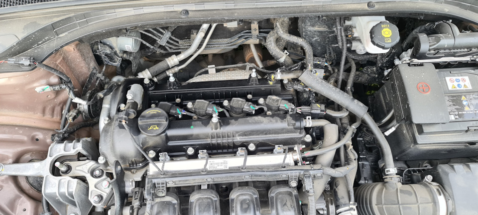 Фото в бортжурнале KIA Ceed SW (3G)