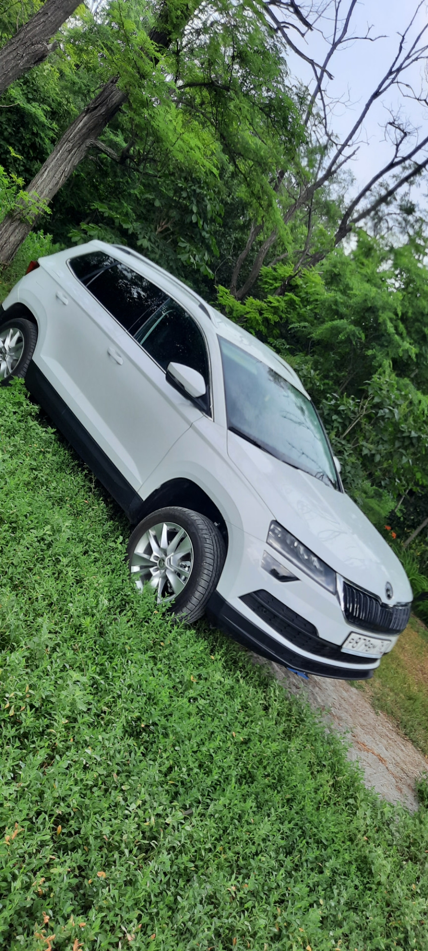 Шумка передних арок — Skoda Karoq, 1,4 л., 2021 года | просто так | DRIVE2