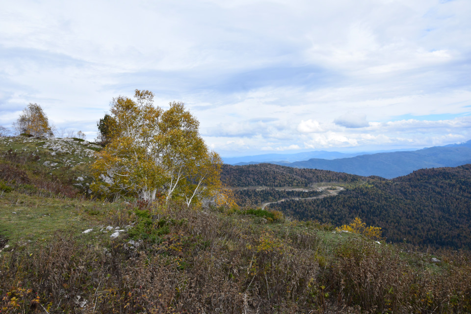 Фото в бортжурнале Renault Duster (1G)