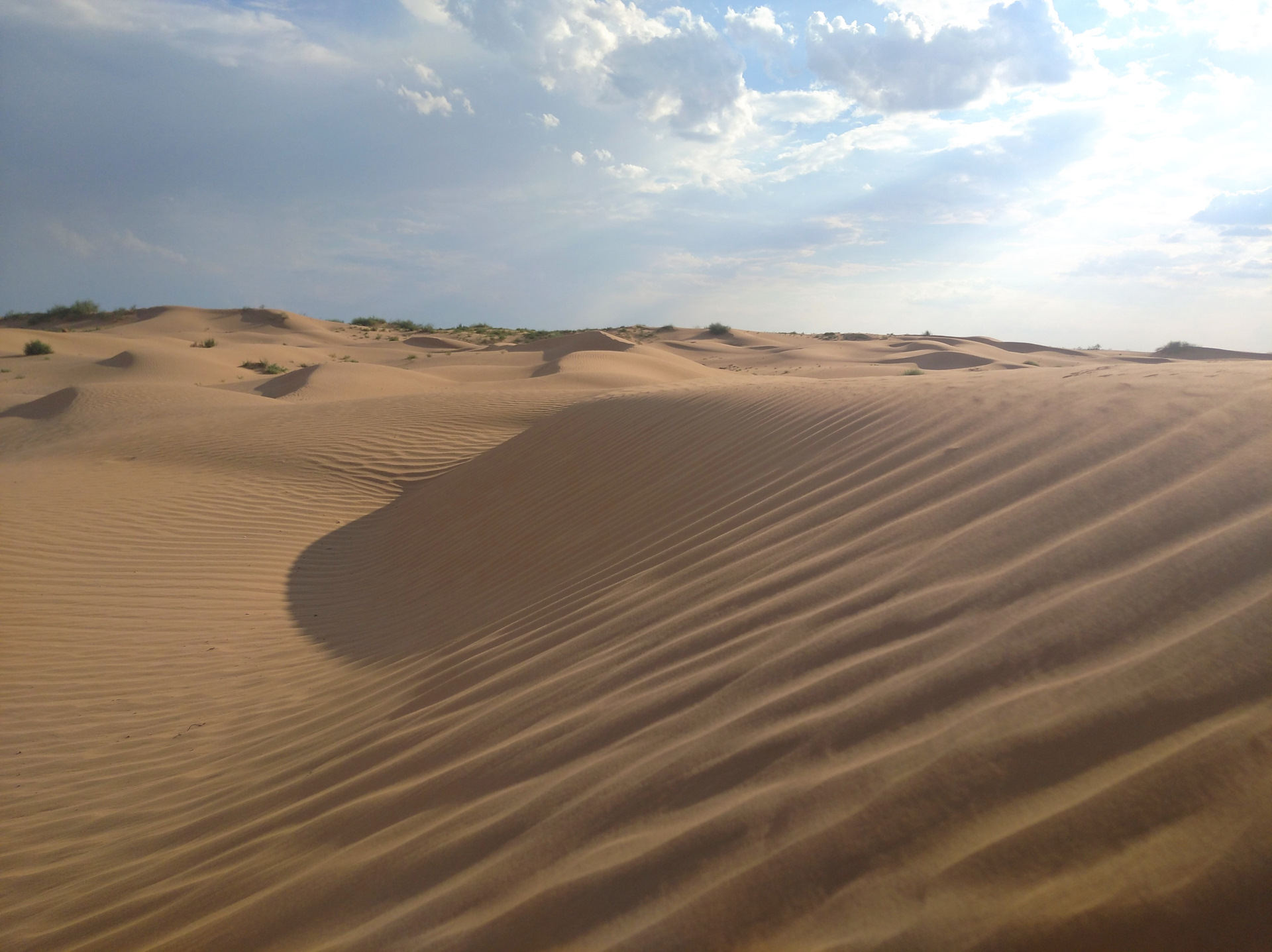 Золотые барханы анапа. Песчаный Бархан Сарыкум. Астрахань пустыня Бархан. Барханы Астрахань село. Нефтекумск пустыня Барханы.