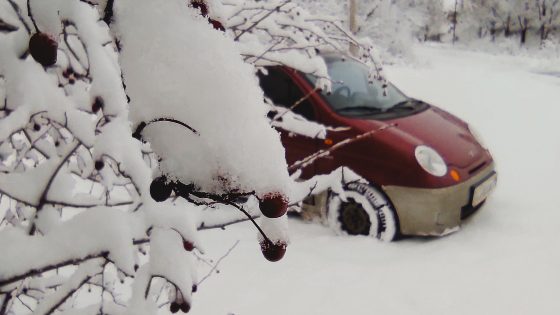 Daewoo Matiz (M100, M150) 1.0 бензиновый 2008 | Вишенка на DRIVE2