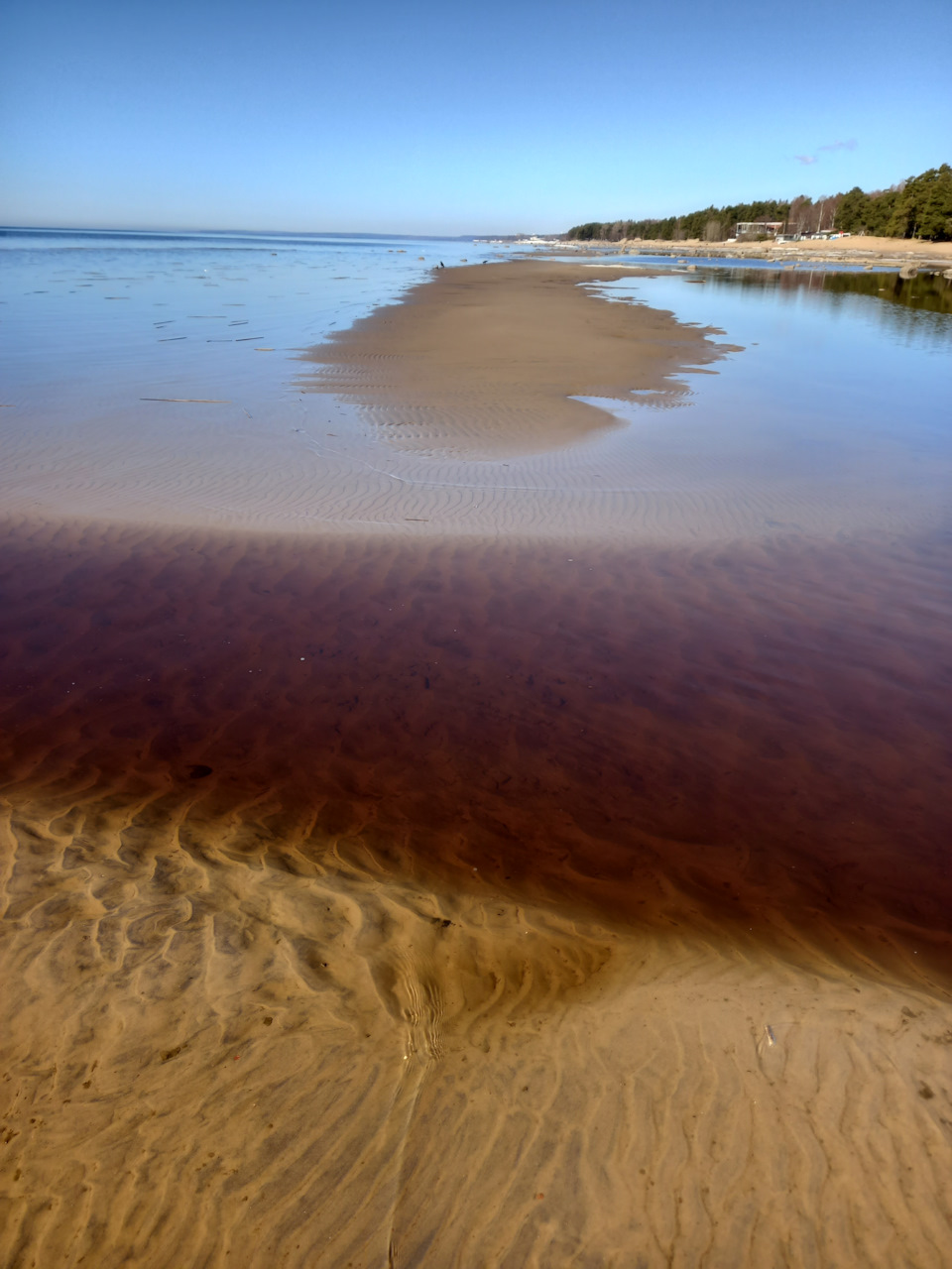 Фото в бортжурнале Renault Sandero 2G