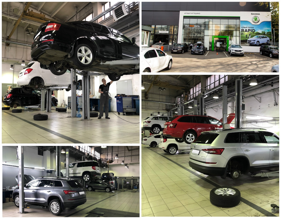 Выгодный сервис при первом визите в АТЛАНТ-М ТУШИНО — Атлант-М Москва ...