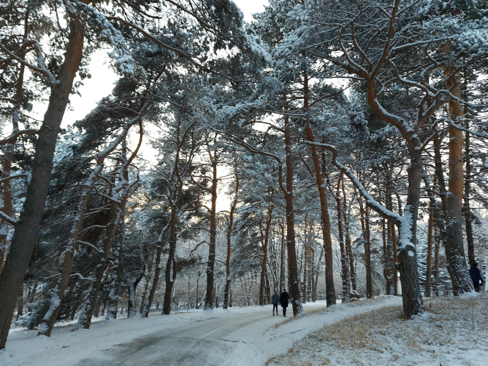 какие горы в кисловодске название. Смотреть фото какие горы в кисловодске название. Смотреть картинку какие горы в кисловодске название. Картинка про какие горы в кисловодске название. Фото какие горы в кисловодске название