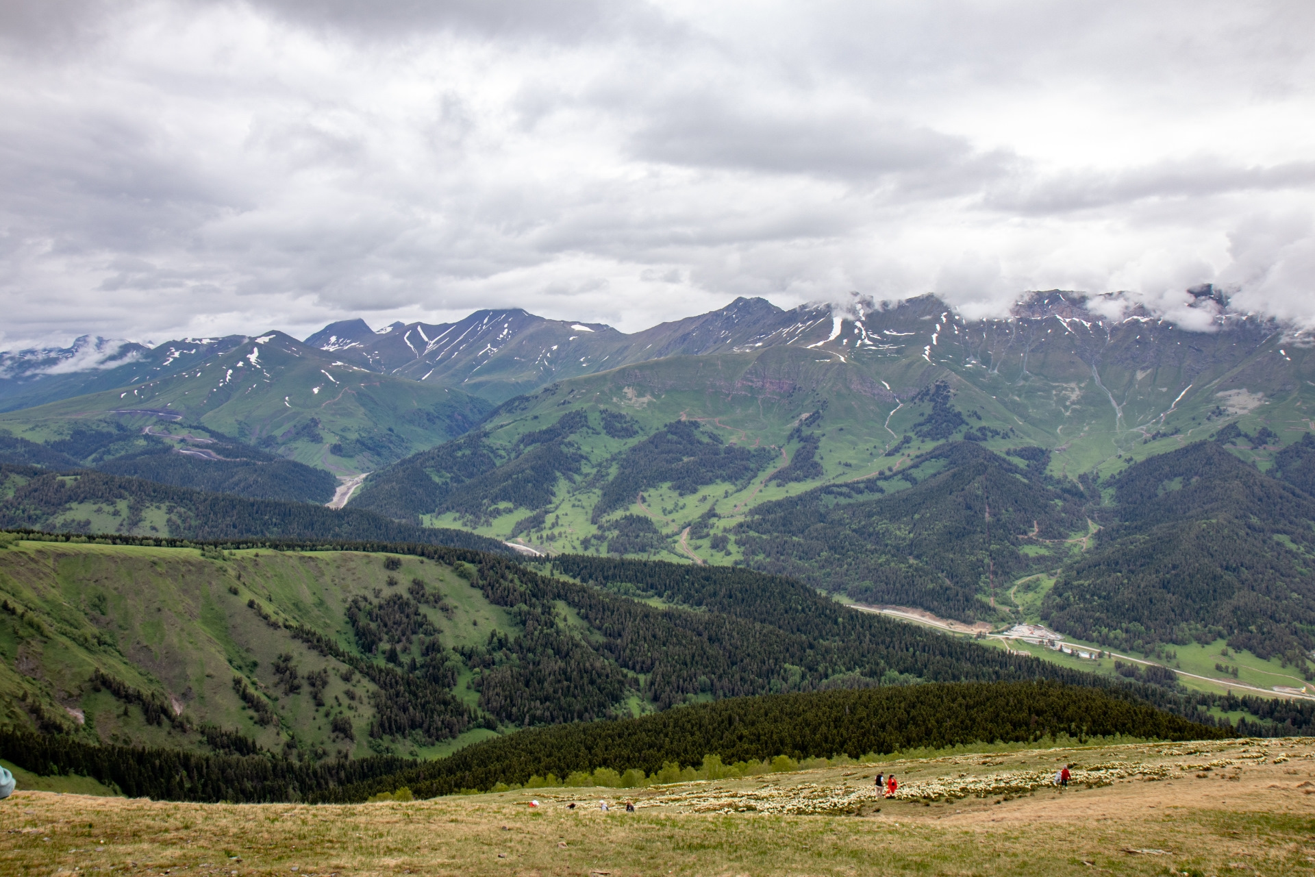 Честер небро обложка. Через горы да веселье честер. Честер небро 2024. Oro del oro честер небро. Честер небро 2022.