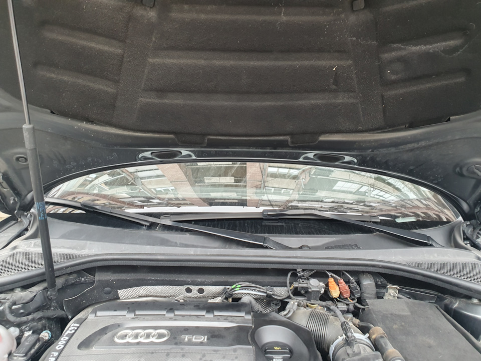 Провисает шумо-теплоизоляция капота — Audi A3 Sportback (8VA), 2 л ...