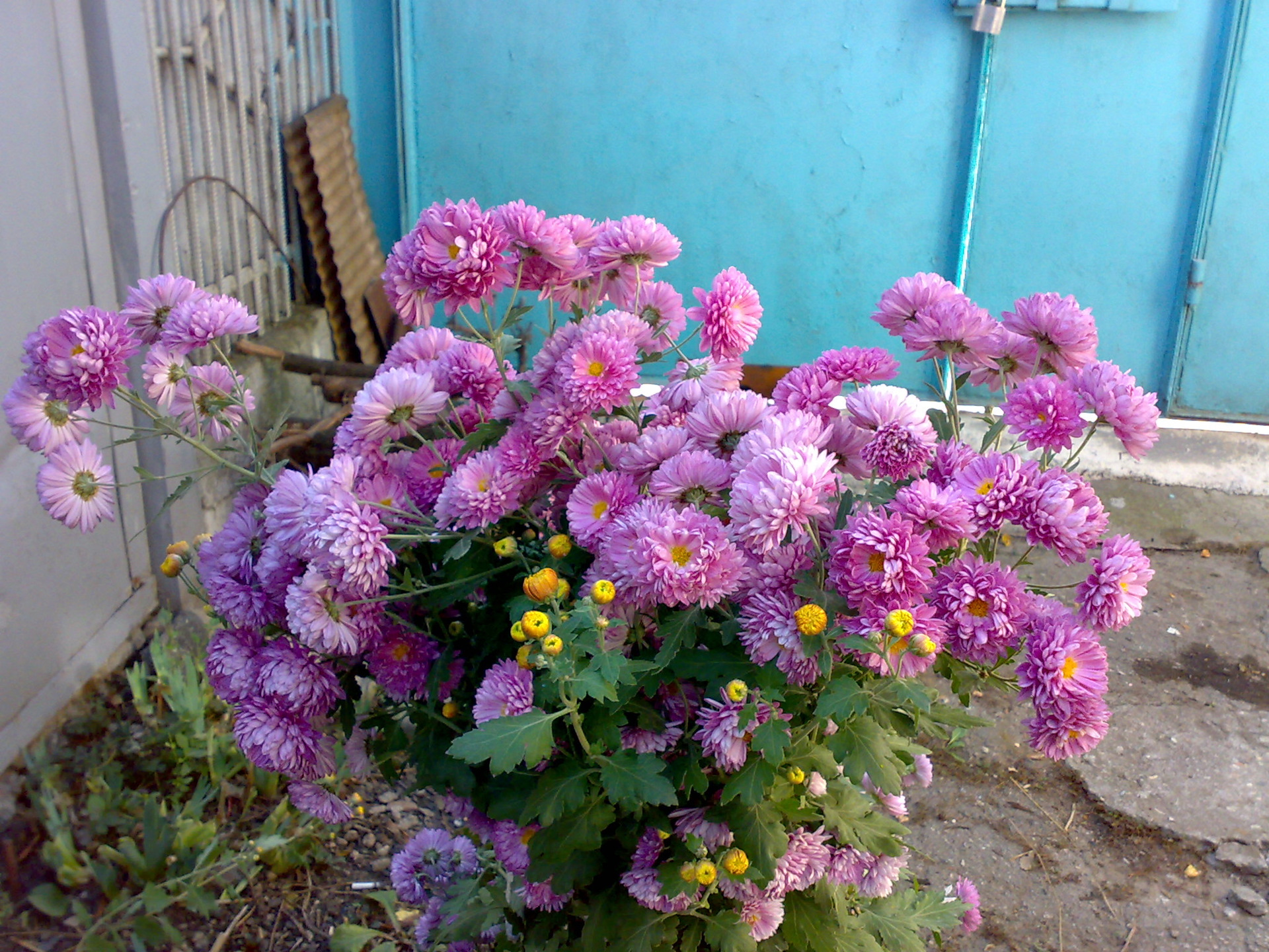 Нужна помощь.Фен Skil 8005 — Сообщество «Инструмент - Делимся Опытом ...