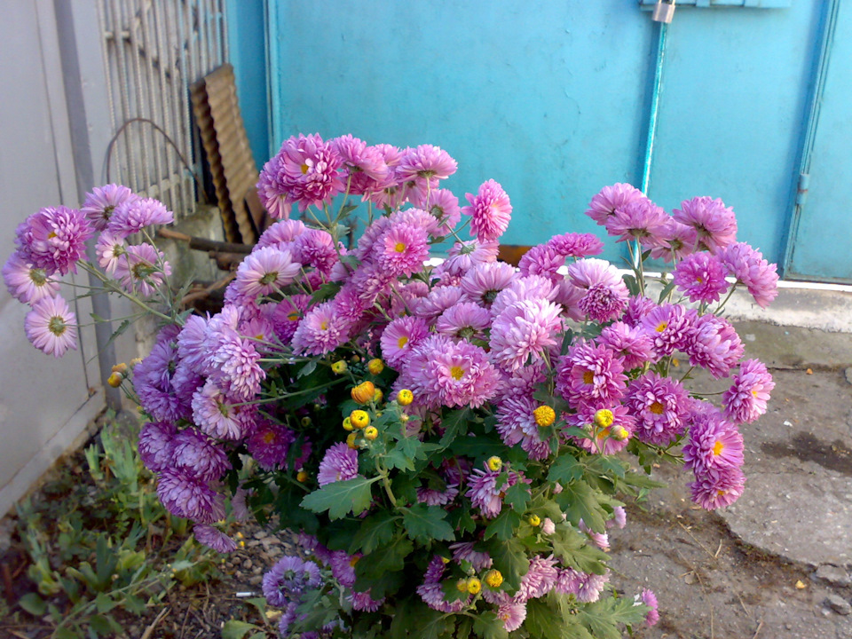 Нужна помощь.Фен Skil 8005 — Сообщество «Инструмент - Делимся Опытом ...