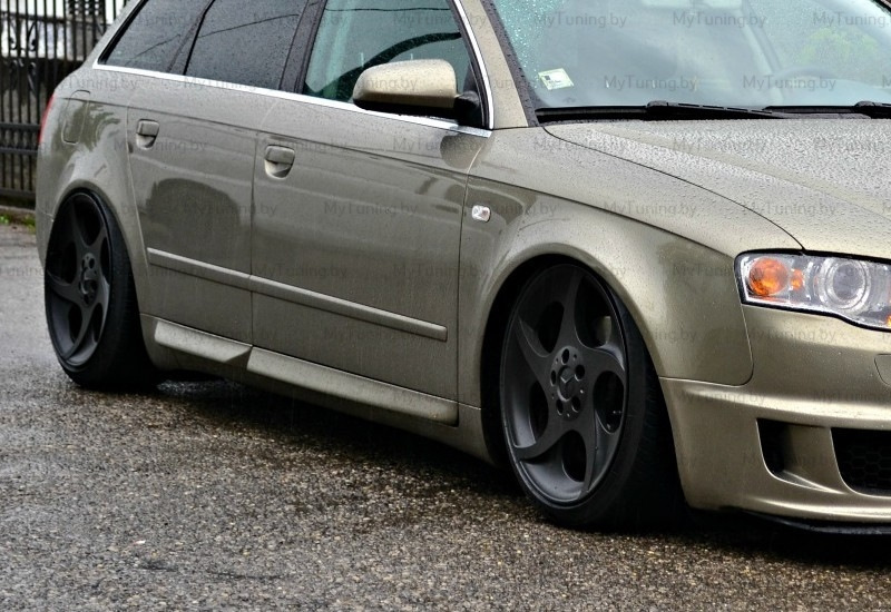 Листва (молдинги) на двери для Audi A4 B6 — MyTuning.by на DRIVE2