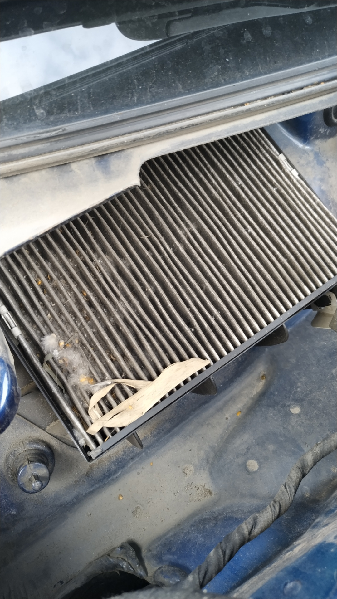 Дополнительный фильтр салона - Volkswagen Jetta V, 1,6 л, 2008 года аксессуары D