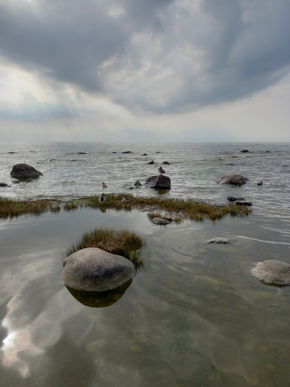 Фото в бортжурнале Renault Sandero 2G