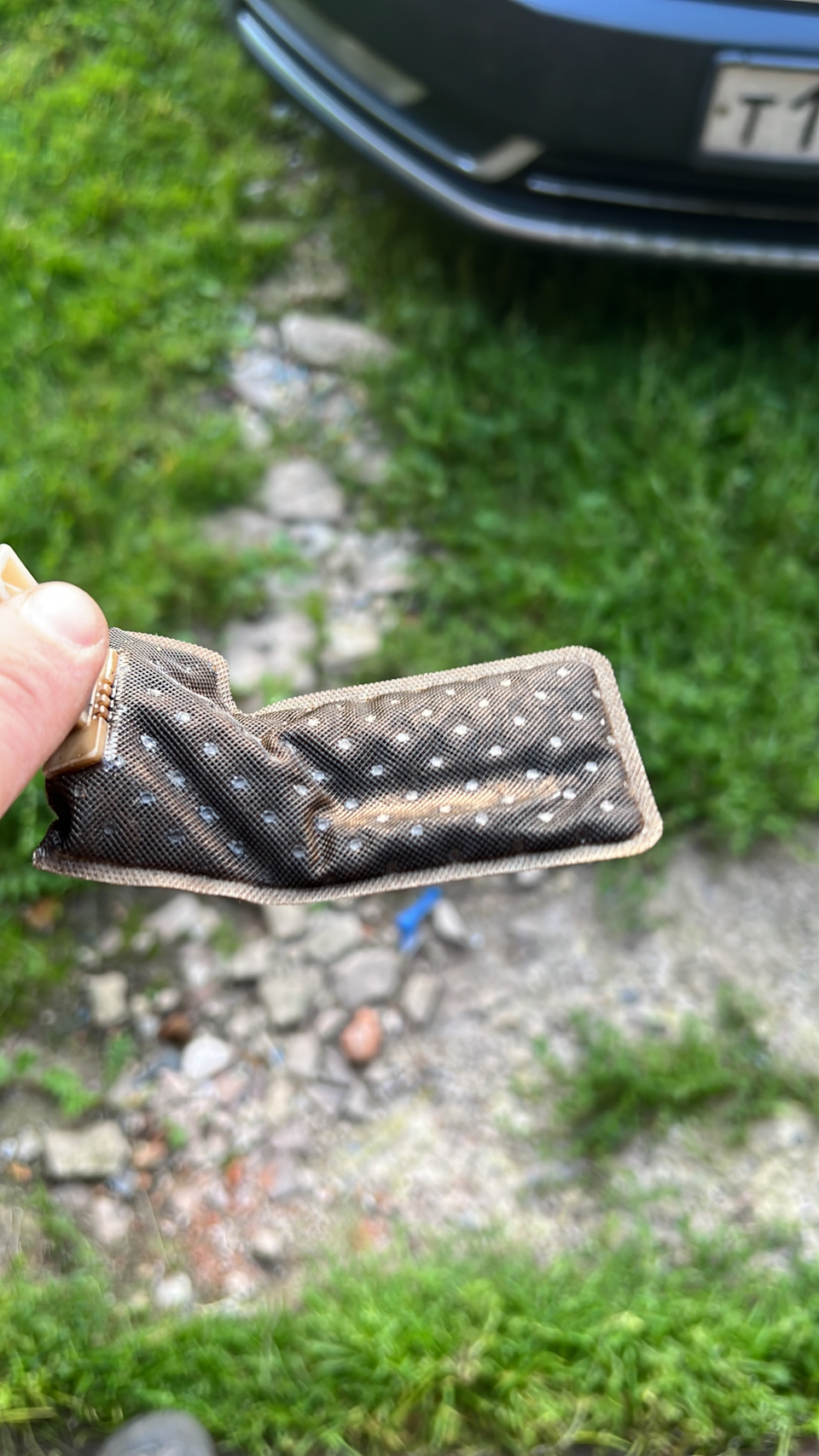 Фото в бортжурнале Volkswagen Passat B7