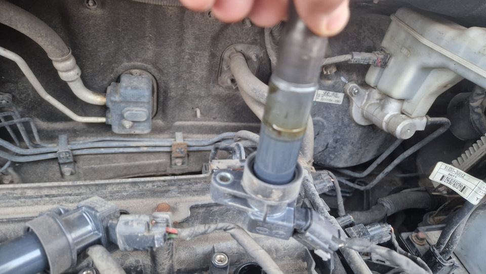 Фото в бортжурнале KIA Sportage (3G)