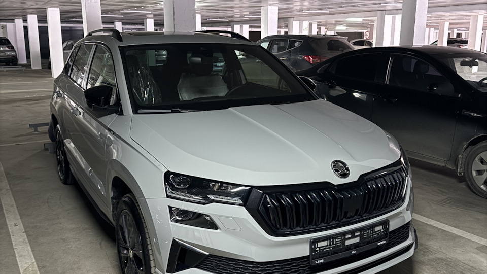 Skoda Karoq Steel grey