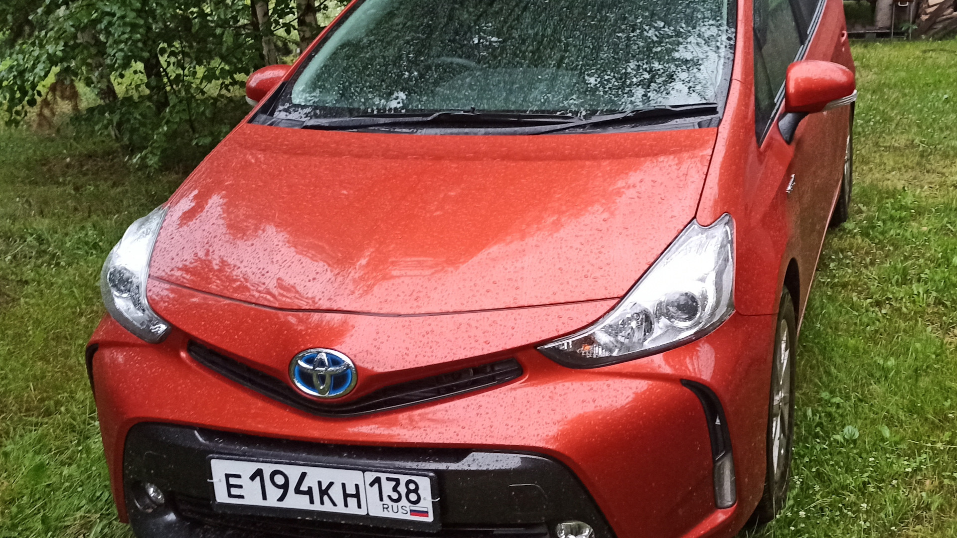 Toyota Prius Alpha 1.8 гибридный 2014 | Рыжая бестия на DRIVE2