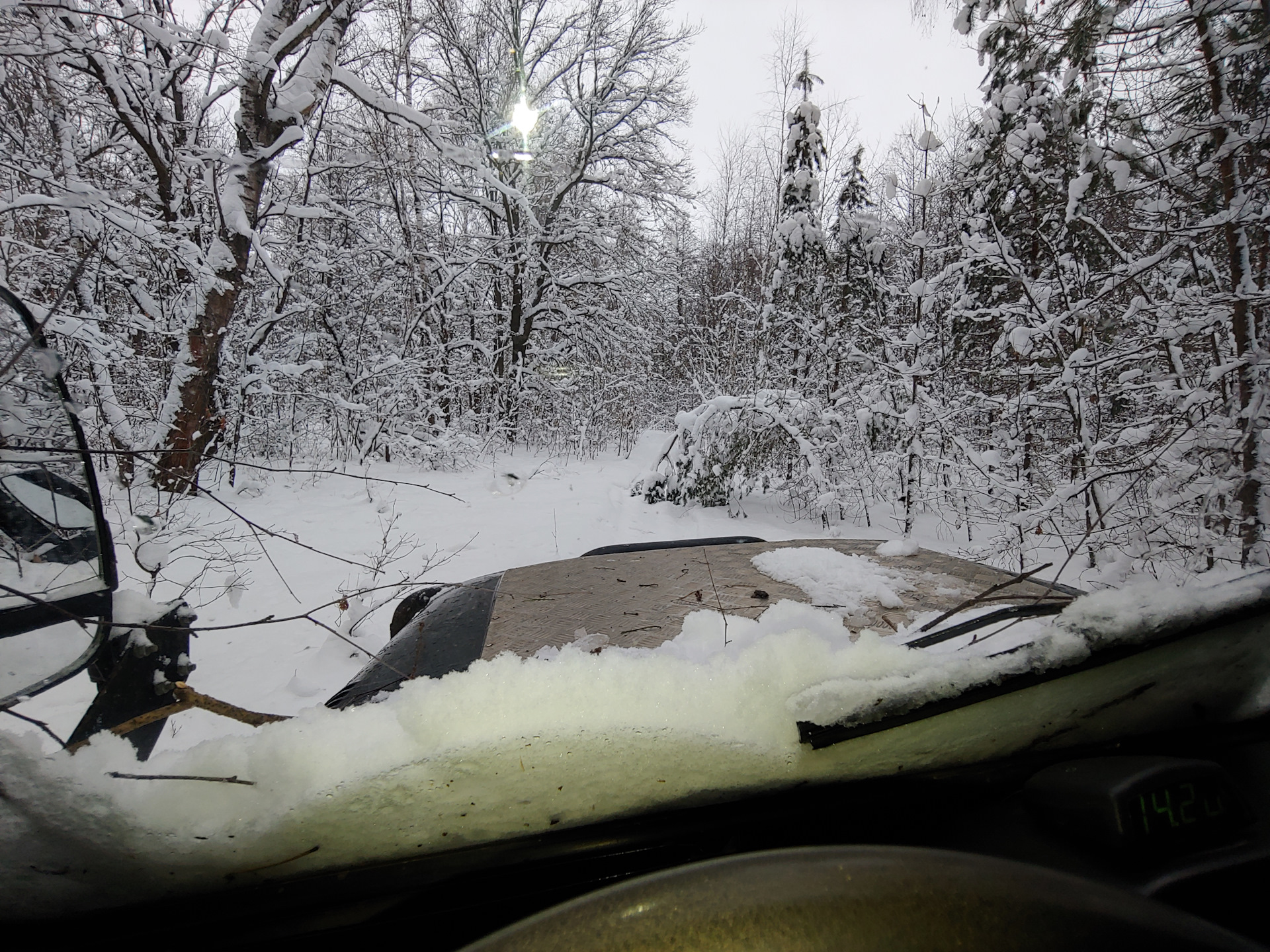 Фото из зимнего леса. Обкатка УАЗ Hanter QD32T — УАЗ 315195 Hunter, 3,2 ...