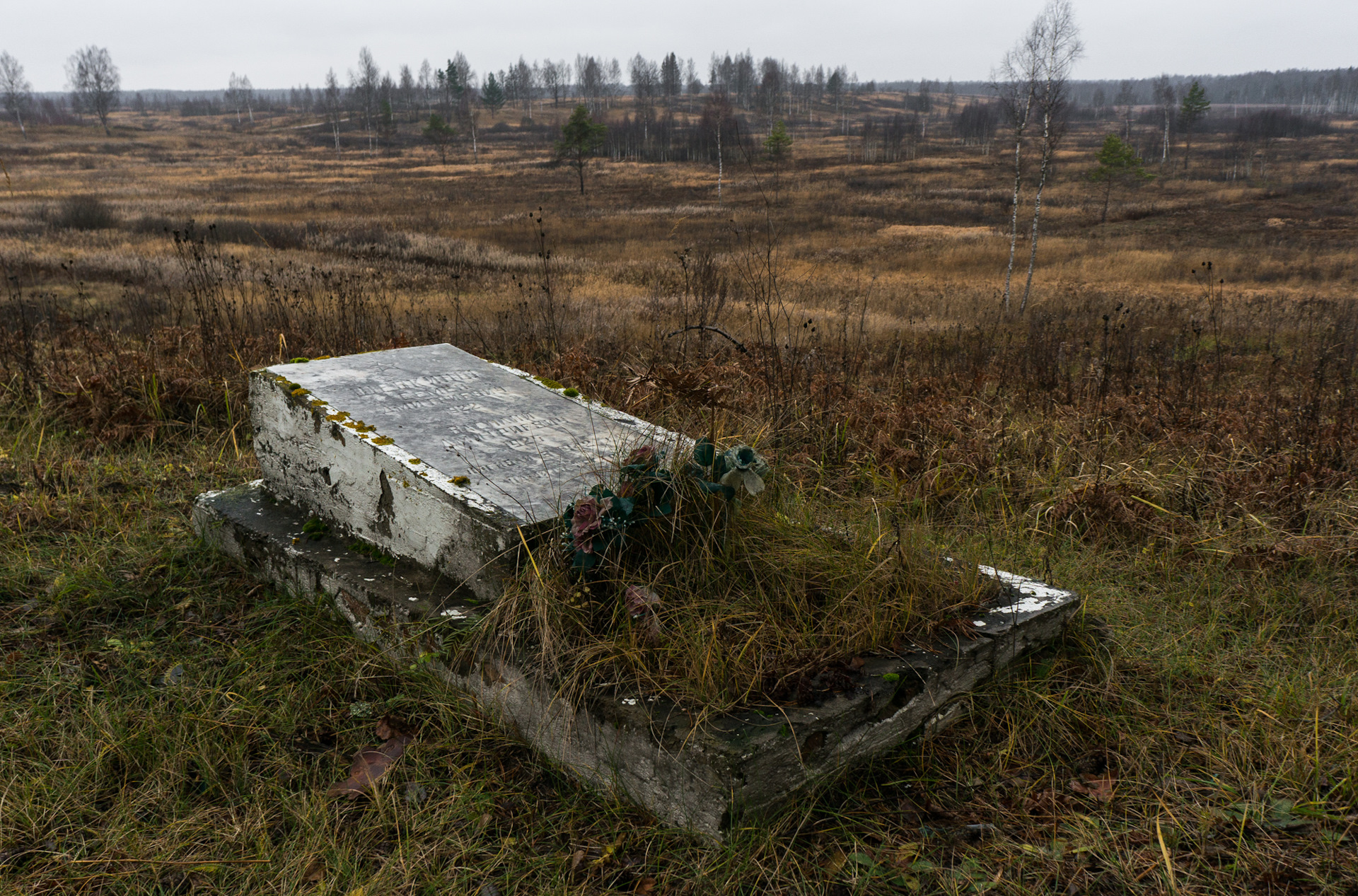 Фотографии Д Прудня Бельского Района Тверской Области