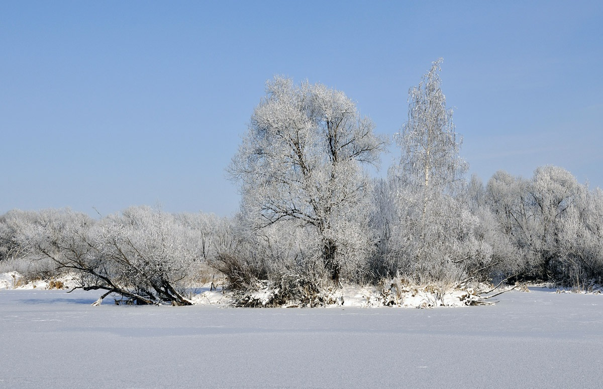 Фото климата россии