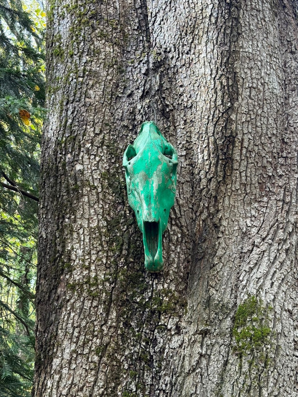 Фото в бортжурнале УАЗ Patriot