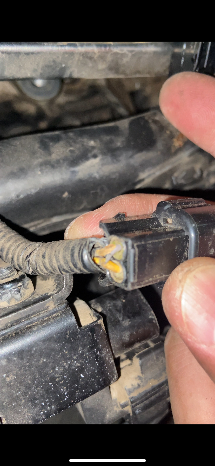 Фото в бортжурнале KIA Ceed (2G)