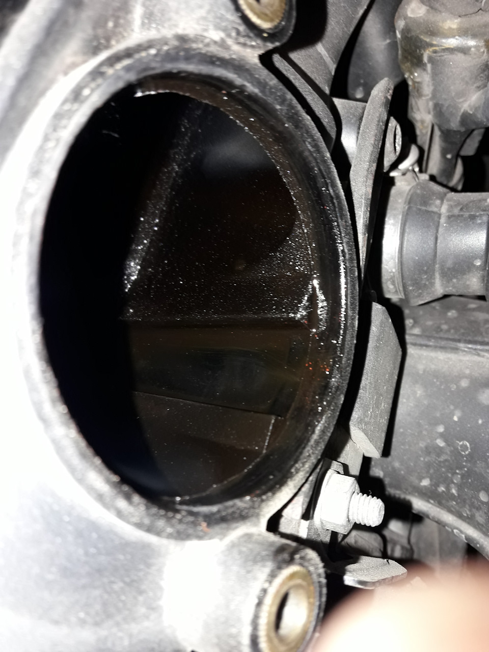 в какую сторону откручивать вискомуфту на бмв е53. Смотреть фото в какую сторону откручивать вискомуфту на бмв е53. Смотреть картинку в какую сторону откручивать вискомуфту на бмв е53. Картинка про в какую сторону откручивать вискомуфту на бмв е53. Фото в какую сторону откручивать вискомуфту на бмв е53 в какую сторону откручивать вискомуфту на бмв е53. Смотреть фото в какую сторону откручивать вискомуфту на бмв е53. Смотреть картинку в какую сторону откручивать вискомуфту на бмв е53. Картинка про в какую сторону откручивать вискомуфту на бмв е53. Фото в какую сторону откручивать вискомуфту на бмв е53