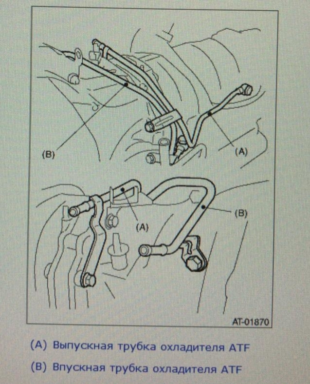 Фото в бортжурнале Subaru Forester (SH)
