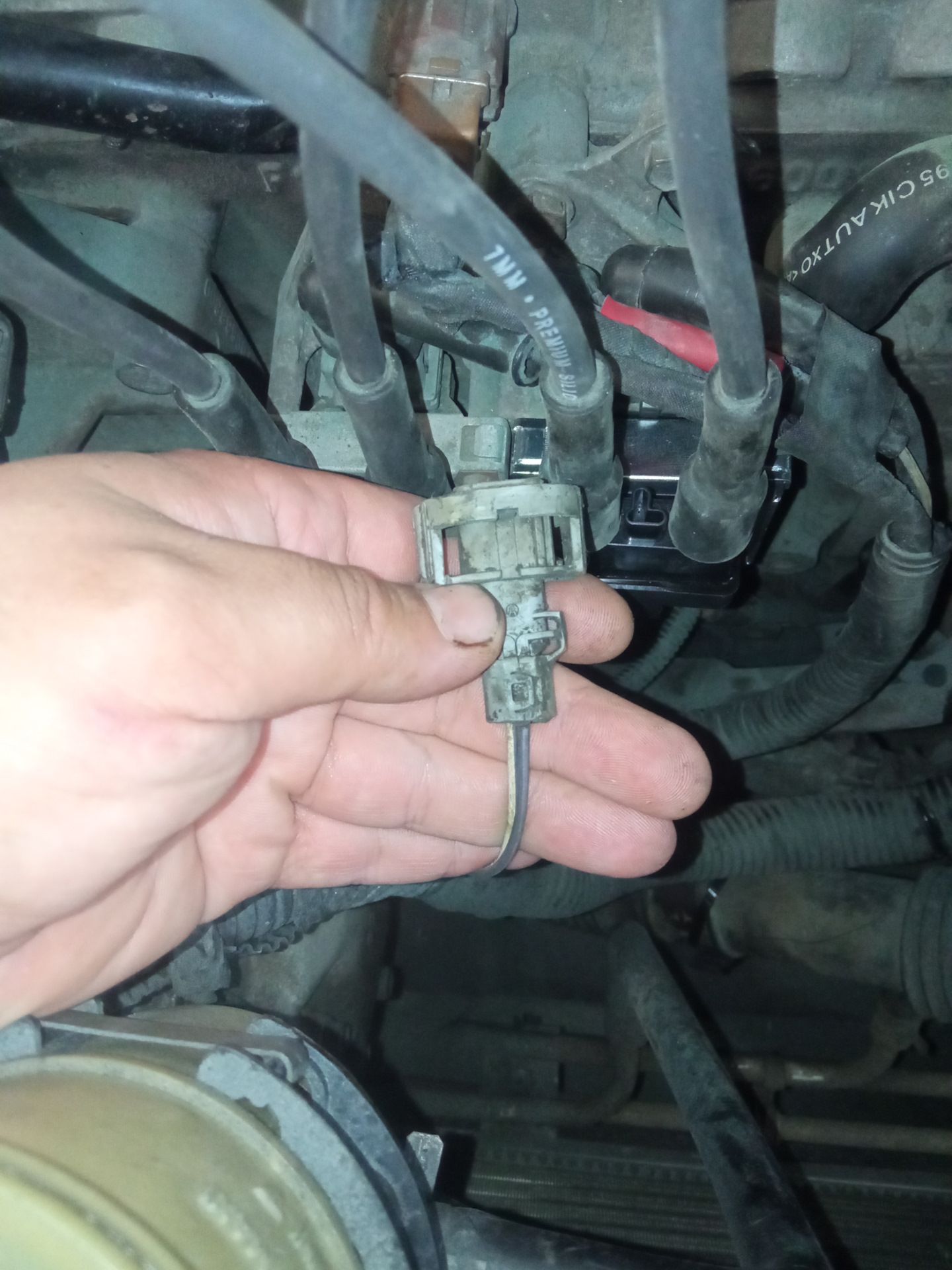 Определение разъема моторной косы — Renault Laguna I, 1,8 л, 1995 года ...