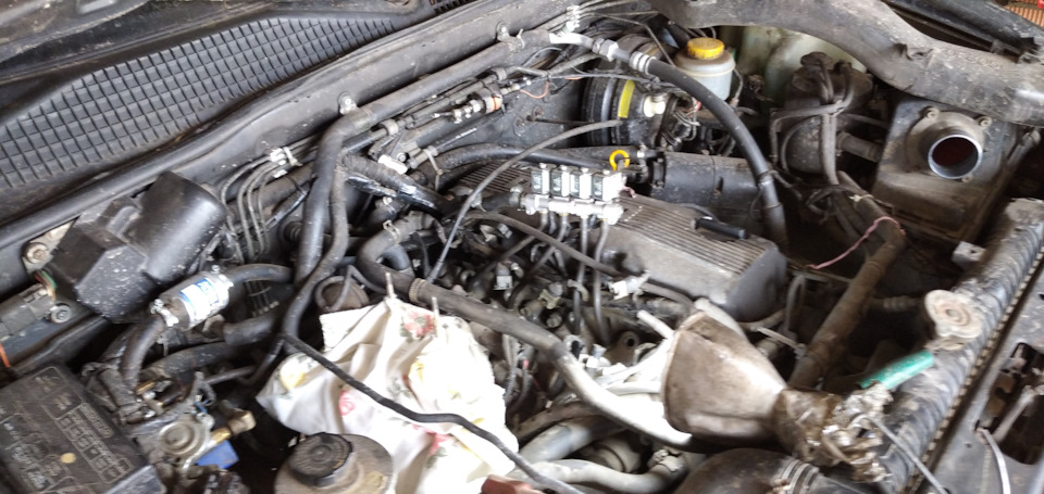 Фото в бортжурнале Nissan Terrano II