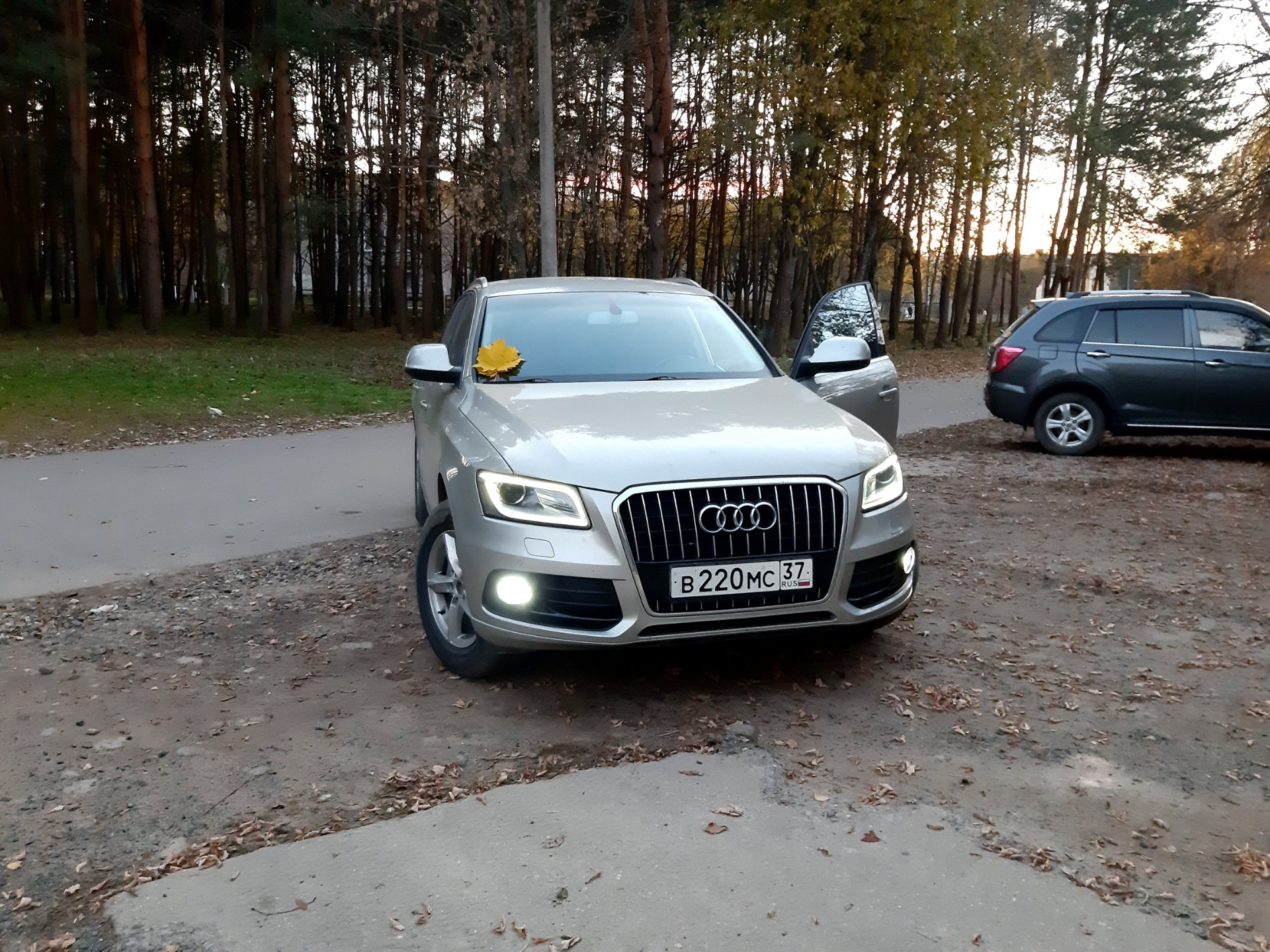 Установка LED ПТФ Salmon — Audi Q5 (1G), 2 л, 2013 года | стайлинг | DRIVE2