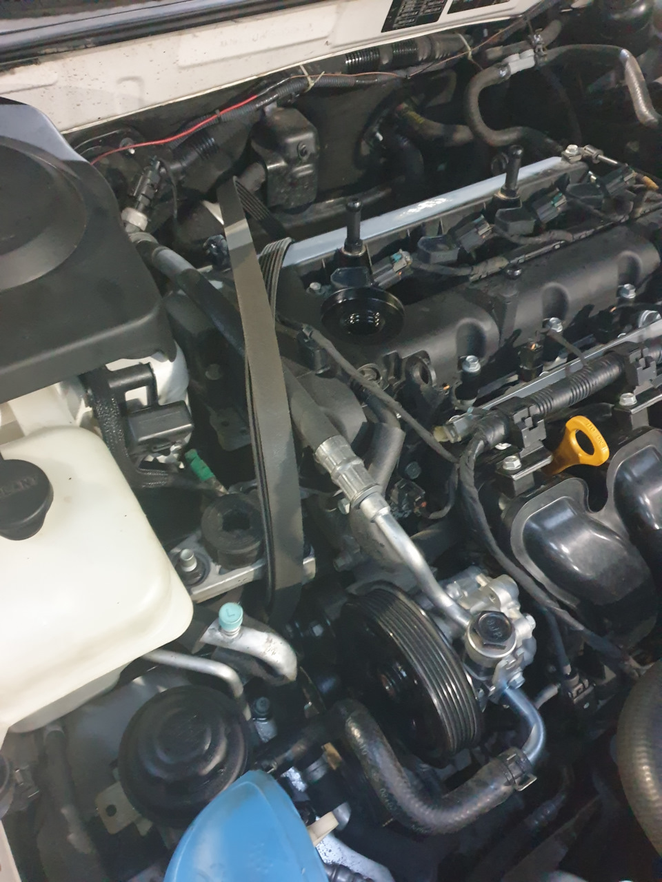 скинул ремень — Hyundai Sonata V (NF)