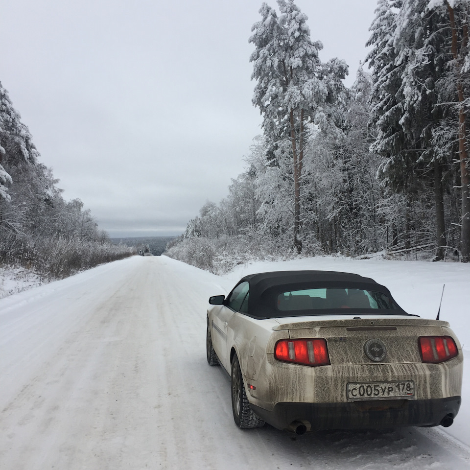 СПБ — Архангельск — Ford Mustang (5G), 3,7 л, 2011 года | путешествие |  DRIVE2