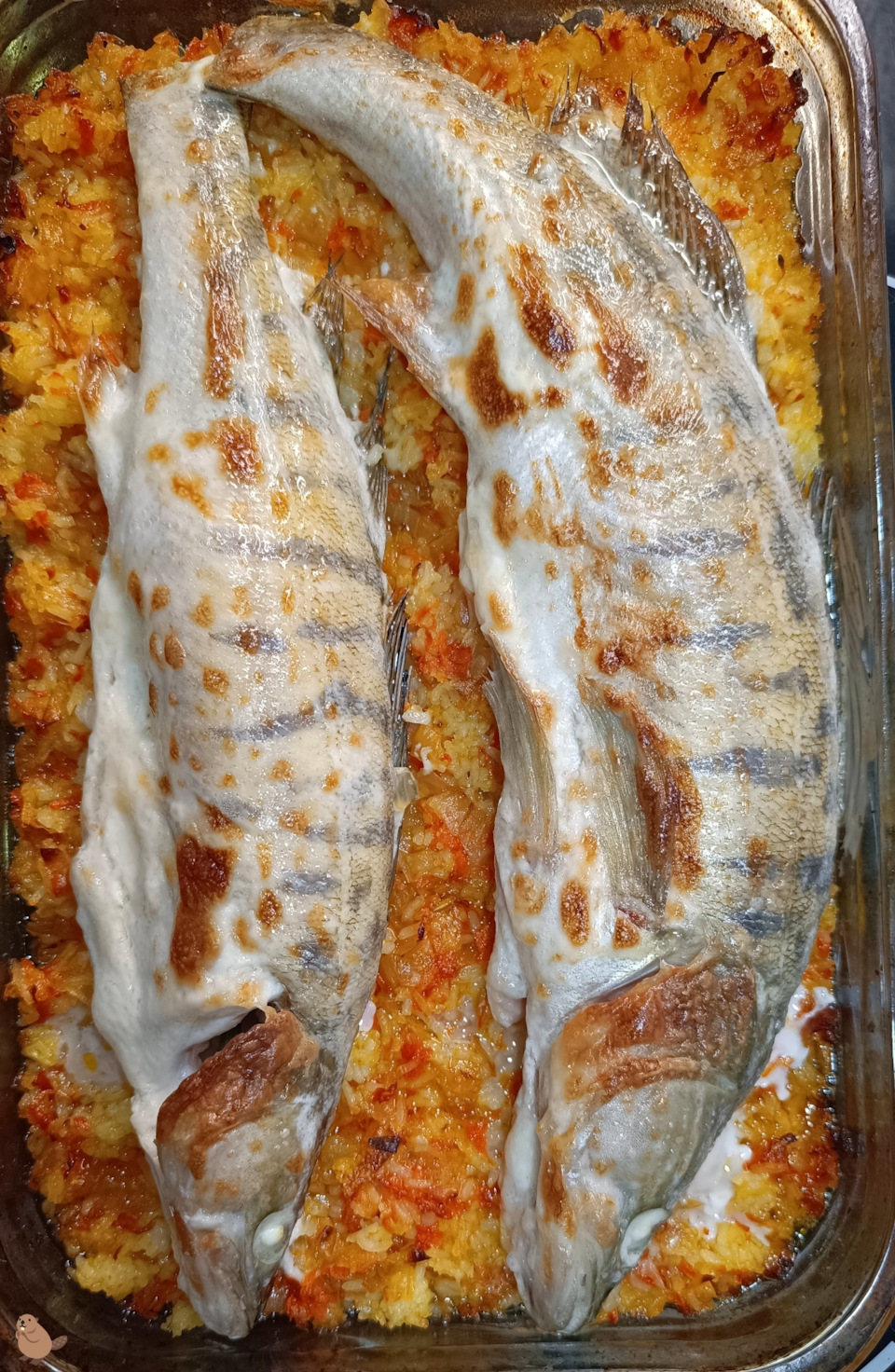 судак🐟рыба вкусная, уж поверьте мне😁… — DRIVE2