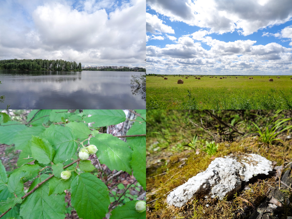 Земля нижегородская