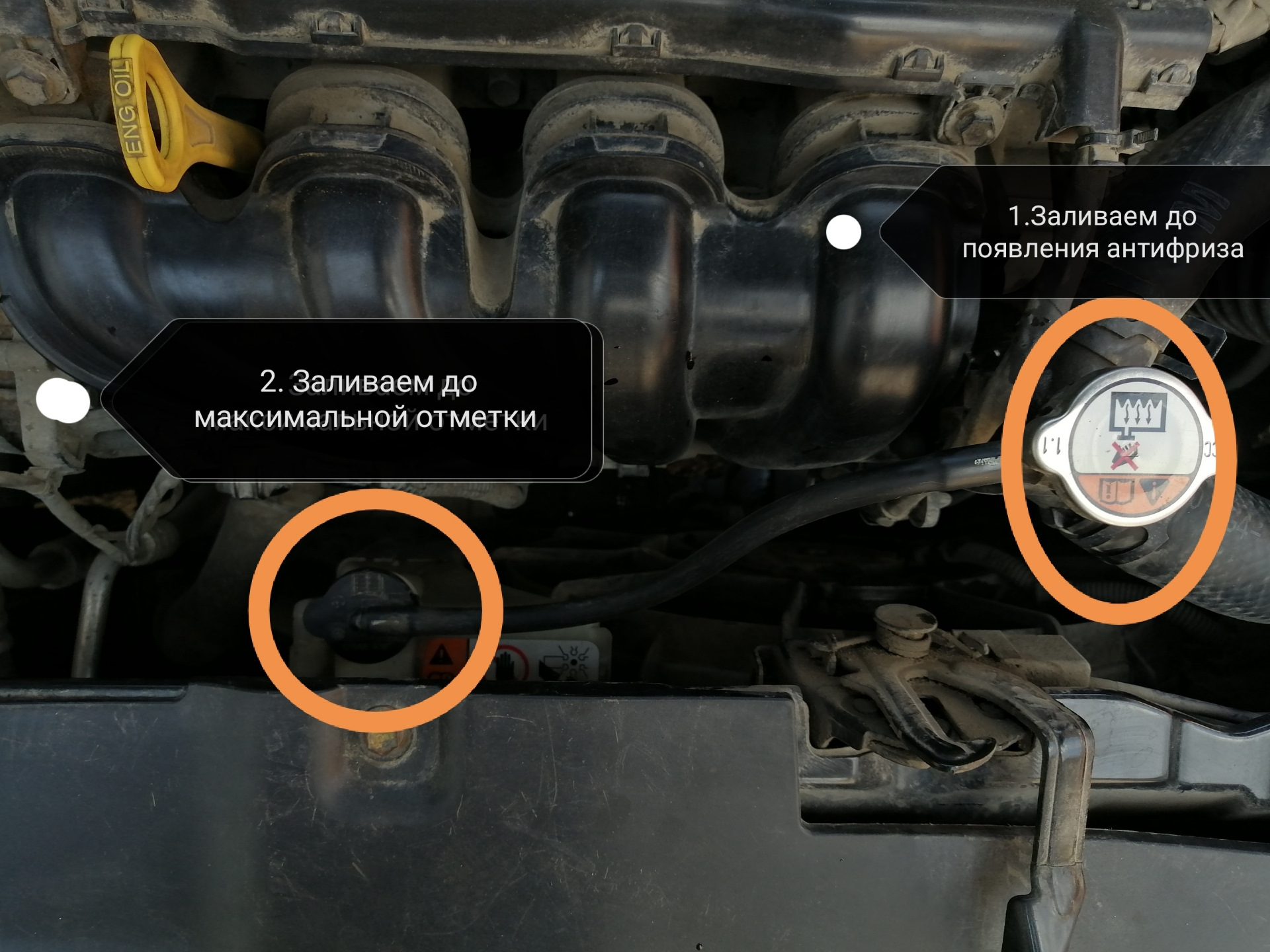 Сколько антифриза в солярисе 1.6