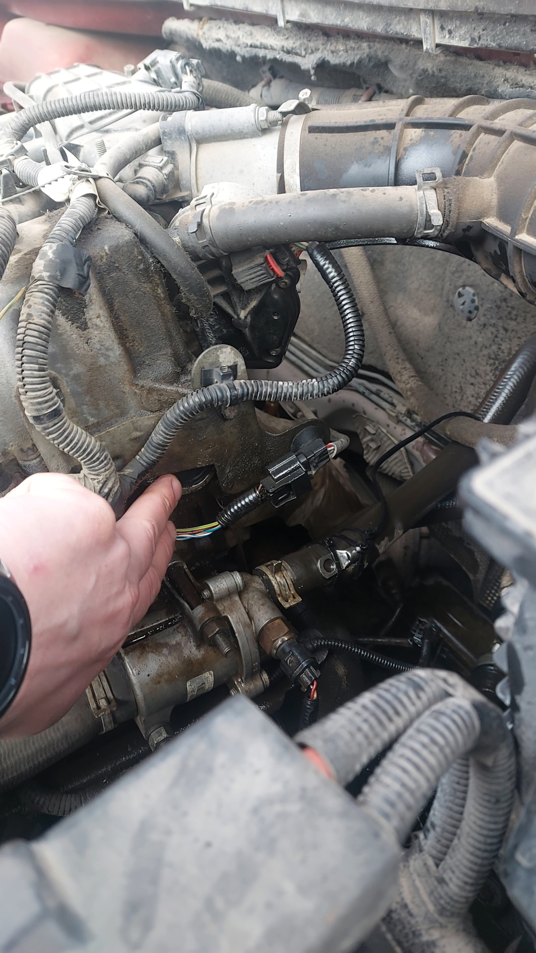 Заглушка распредвала, вышла из чата. — Lada Vesta (1G), 1,6 л, 2016 ...