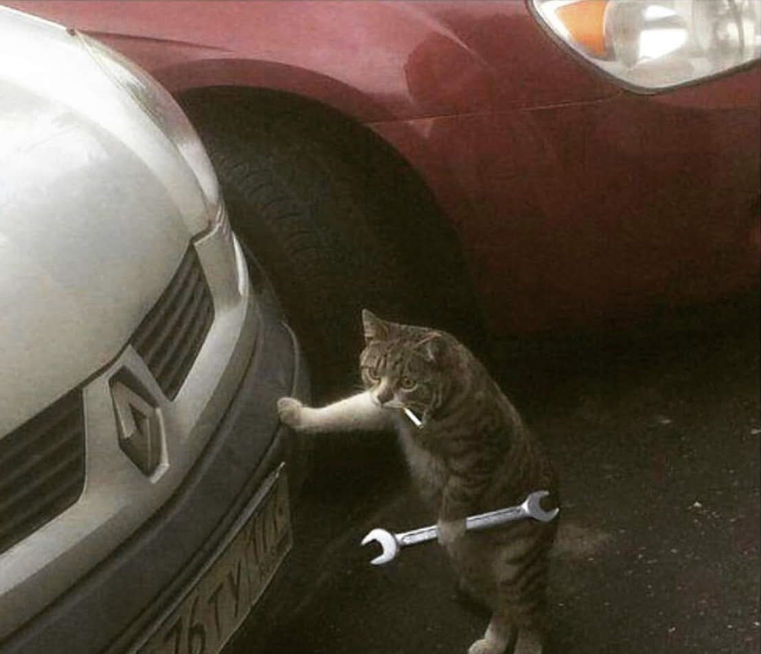 Кот чинит машину
