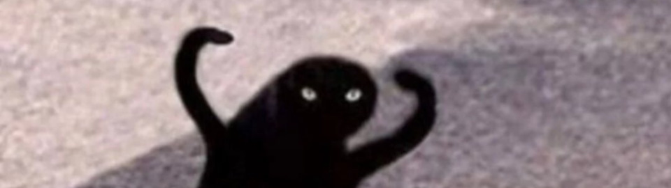 Мем кот черный