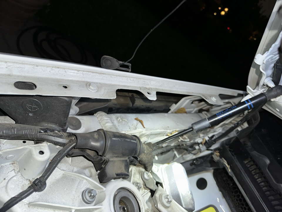 Фото в бортжурнале BMW X3 (G01)