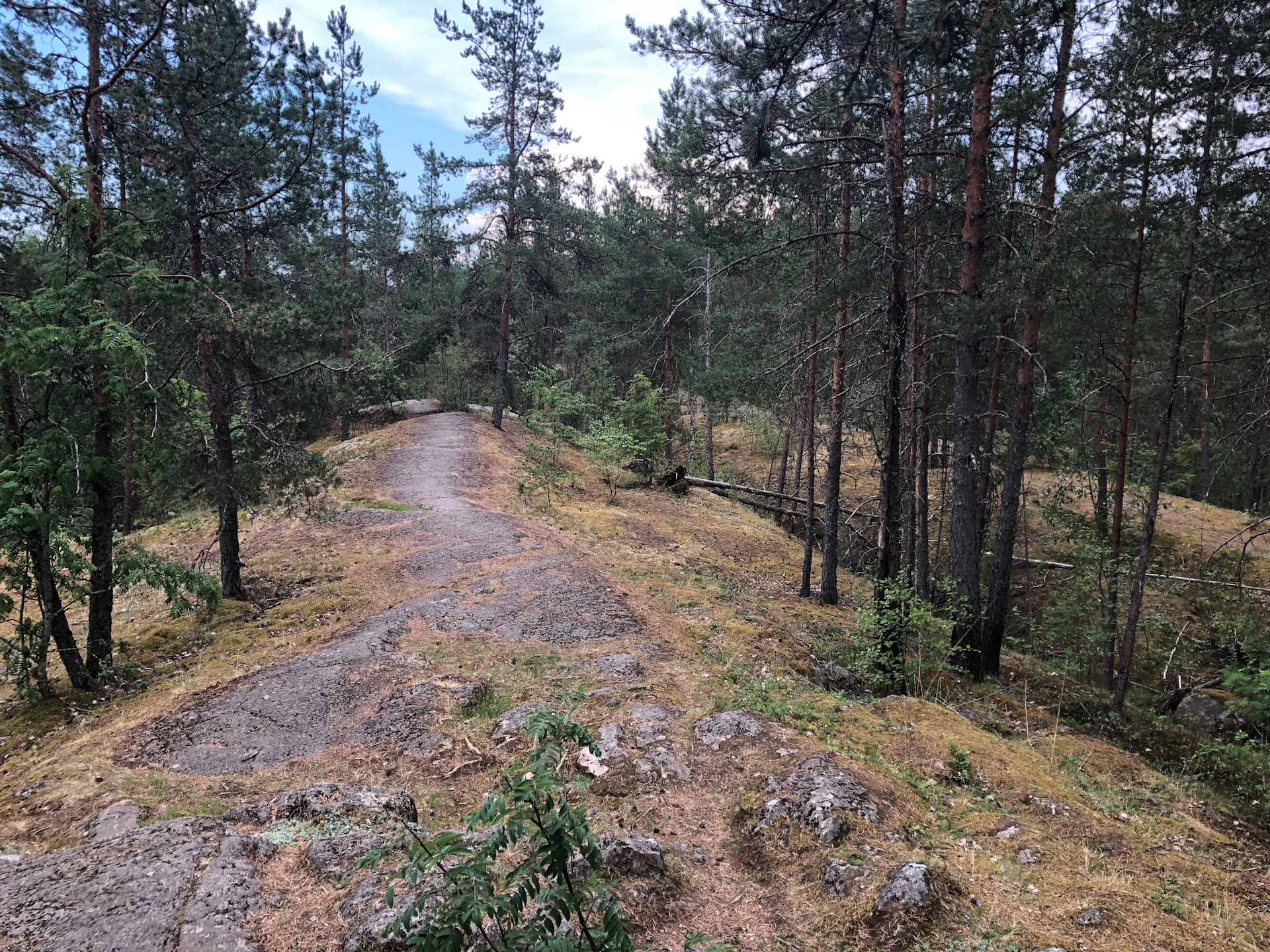 Кемпинг сампо. Гора сампо карелия. гора сампо карелия фото. сампо карелия кемпинг. гора сампо карелия как добраться на машине.
